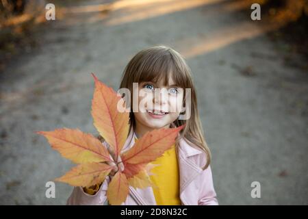 Foto ein schönes Mädchen Kind in einem Herbstpark mit einem gelben Kastanienblatt in den Händen steht auf der Straße, lächelt und schaut auf die Kamera. Stockfoto