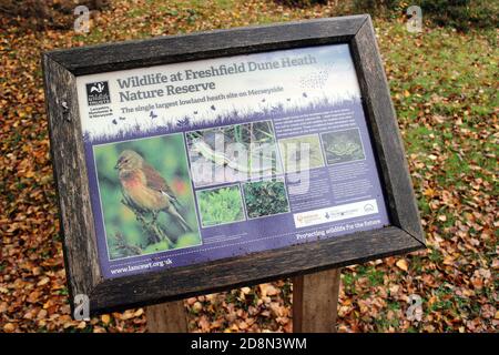 Schild zeigt Wildtiere im Freshfield Dune Heath Nature Reserve, Merseyside, Großbritannien Stockfoto