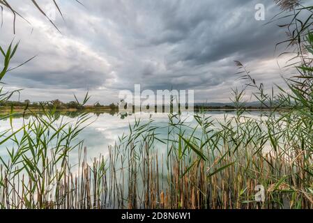 Schöner Sonnenuntergang auf dem See mit Wasserpflanzen in Ourense, Galicien, Spanien. Stockfoto