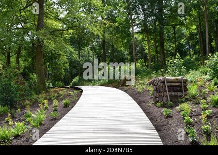 Ein schöner Weg durch den Wald am Newt, einem Landgarten und Anwesen in Somerset. Stockfoto