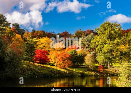 Herbstfarben über Rowe's Flashe Lake bei Winkworth Arboretum, Surrey, Großbritannien Stockfoto