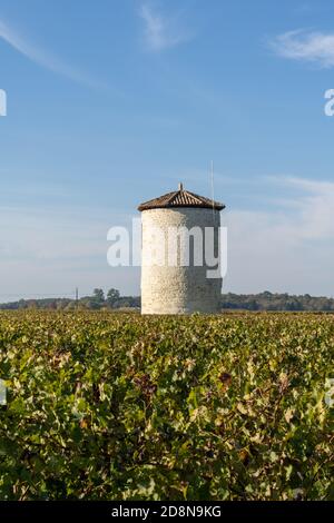 Blick auf die schönen Herbstfarben in den Weinbergen in Gironde In der Nähe von Bordeaux mit einem alten Wasserturm Stockfoto