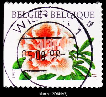 MOSKAU, RUSSLAND - 8. OKTOBER 2020: Briefmarke gedruckt in Belgien zeigt Rhododendron simsii selbstklebend linkes Imperforat, Blumen Serie, um 1997 Stockfoto