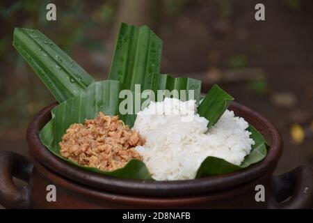 Indonesisches Essen; klebriger Reis und zerfetztes Huhn auf Bananenblättern serviert Stockfoto