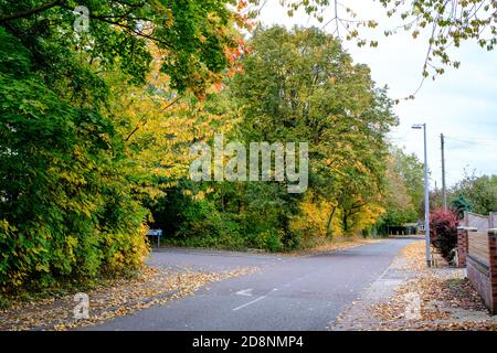Spektakuläre Herbstfärbung in Bradford Road, Ellesmere Park, Eccles, Salford, Greater Manchester, Großbritannien Stockfoto
