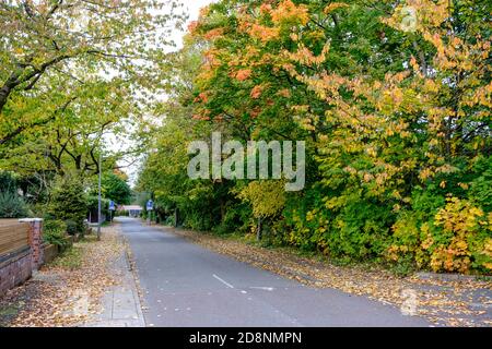 Spektakuläre Herbstfärbung in Bradford Road, Ellesmere Park, Eccles, Salford, Greater Manchester, Großbritannien Stockfoto