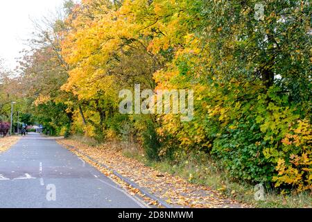 Spektakuläre Herbstfärbung in Bradford Road, Ellesmere Park, Eccles, Salford, Greater Manchester, Großbritannien Stockfoto
