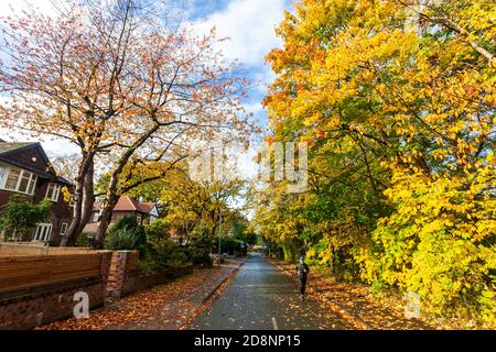 Spektakuläre Herbstfärbung in Bradford Road, Ellesmere Park, Eccles, Salford, Greater Manchester, Großbritannien Stockfoto