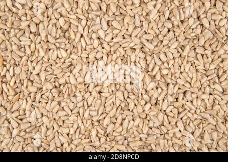 Geschälte Sonnenblume Textur - Draufsicht und Nahaufnahme der Sonnenblume Seeds Stockfoto