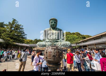 Der große Buddha von Kamakura in Kōtoku-in in Kamakura, Japan Stockfoto