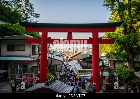 Monzen-machi (Tempelstadt) am Enoshima-Schrein in Enoshima, Japan Stockfoto