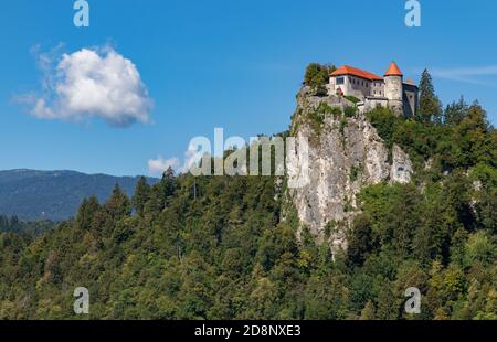 Ein Bild von Schloss Bled und den umliegenden Wäldern. Stockfoto
