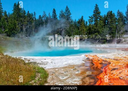 Tiefblauer vulkanischer Pool, Silex Spring, im Yellowstone National Park mit Eisenoxidflecken. Stockfoto