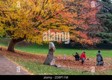 Familien spielen in den Blättern unter einem schönen großen und bunten Herbstbaum im Park im Royal leamington Spa, großbritannien Stockfoto