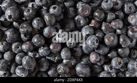 Textur von frischen und reifen Blaubeeren Stockfoto
