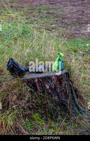 Hunde-Abfallsäcke, die auf einem Baumstumpf liegen. Hundestau vom Besitzer hinterlassen. Hundekotbeutel, die auf einem Baumstumpf entsorgt werden Stockfoto