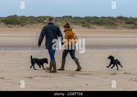 Ein junges Landpaar in Outdoor-Kleidung, das am Strand von holkham im Norden norfolks, großbritannien, ihre Spaniels läuft Stockfoto