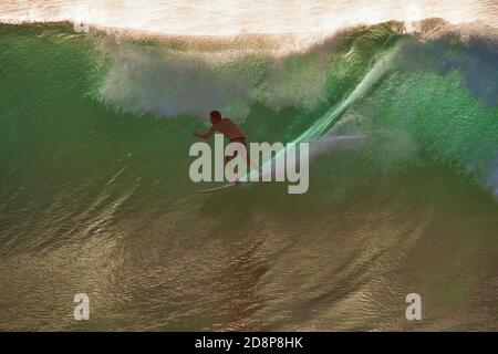 Surfer bei Sonnenuntergang Reiten einer hellen grünen Welle in Honolua Bay auf maui. Stockfoto