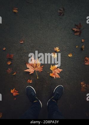 Herbstsaison Lifestyle. High-Angle-Ansicht der Mann Füße auf der Asphaltstraße mit gefallenen verrosteten Ahornblätter. Saisonale Hintergrund, Liebe Herbst Stimmung konzeptu Stockfoto