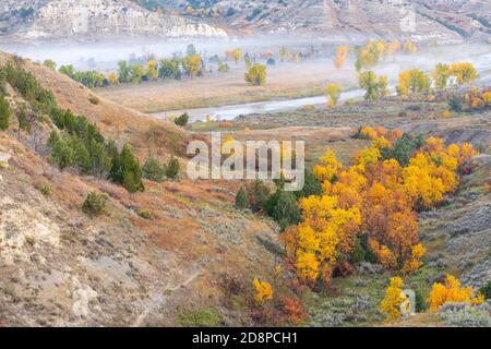 Nebel über Little Missouri River Valley, Autumn Ash Trees, Theodore Roosevelt NP, N Dakota, USA, von Dominique Braud/Dembinsky Photo Assoc Stockfoto