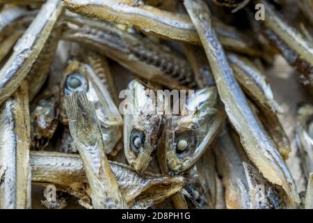 Eine Makroaufnahme von getrockneten Ancovies in einem Stapel. Stockfoto