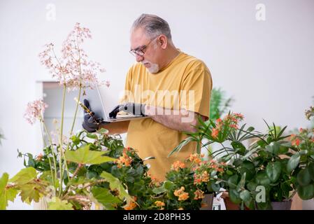 Alter männlicher Gärtner mit Pflanzen zu Hause Stockfoto