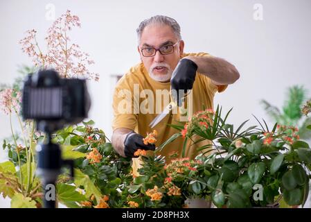 Alter männlicher Gärtner mit Pflanzen zu Hause Stockfoto