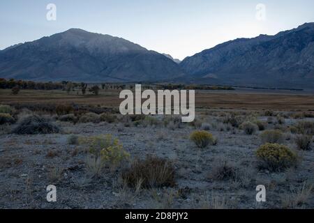 Bishop sitzt in Owens Valley, Inyo County, CA. Es ist eine Oase in der Wüste der östlichen Sierra. Stockfoto