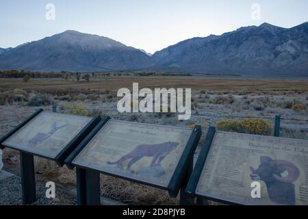 Bishop sitzt in Owens Valley, Inyo County, CA. Es ist eine Oase in der Wüste der östlichen Sierra. Stockfoto