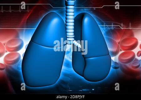 Menschliche Lungen im digitalen Design Stockfoto