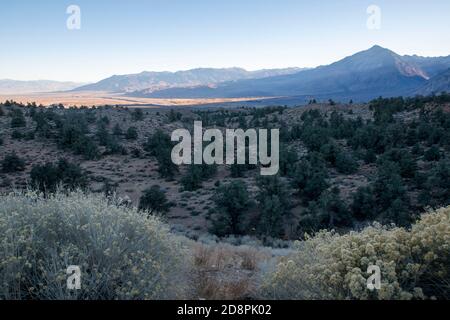 Bishop sitzt in Owens Valley, Inyo County, CA. Es ist eine Oase in der Wüste der östlichen Sierra. Stockfoto