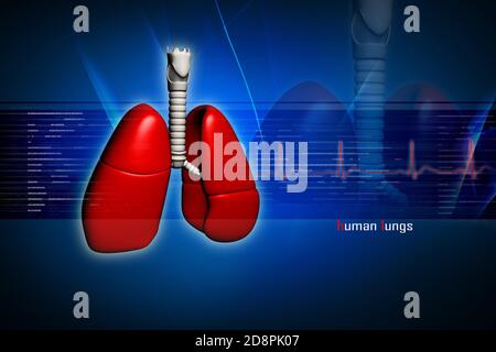 Menschliche Lungen im digitalen Design Stockfoto