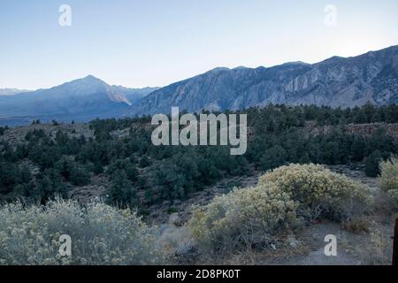 Bishop sitzt in Owens Valley, Inyo County, CA. Es ist eine Oase in der Wüste der östlichen Sierra. Stockfoto