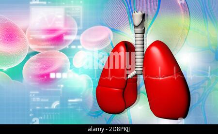 Menschliche Lungen mit Blutkörperchen Stockfoto