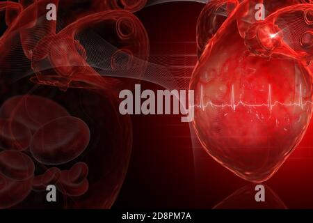 Menschliches Herz Stockfoto