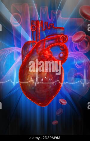 Menschliches Herz mit EKG Stockfoto