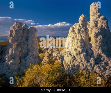 Tufa Towers, Rabbitbrush, Simon Spring, Mono Lake, Mono Basin National Forest Scenic Area, Inyo National Forest, Kalifornien Stockfoto