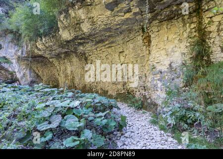 Claude Roy Jump oder Cascade de la Billaude, Jura in Frankreich Stockfoto