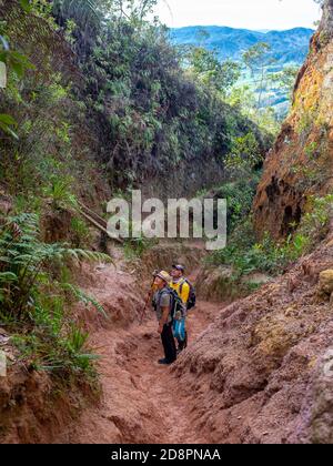 BELMIRA, KOLUMBIEN - 20. Jan 2020: Belmira, Antioquia, Kolumbien - 19 2020. Januar: Eine Frau mit einem Führer, stehend und aussehende Vögel in einer schmutzigen Straße N Stockfoto