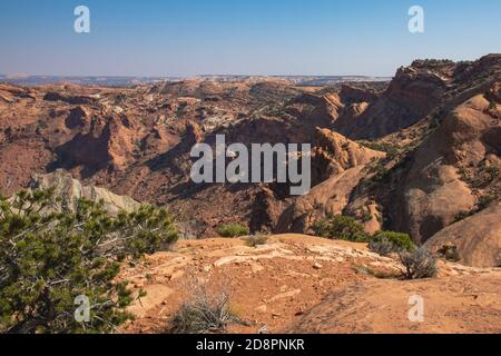 Canyonlands National Park im Herbst Stockfoto