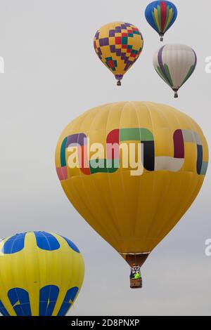 Eine Gruppe von bunten Heißluftballons, die sich beim Balloon Fiesta in New Mexico in den wolkenlosen Morgenhimmel erheben. Stockfoto