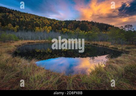 Schöne Herbstlandschaft mit kleinem See im Sumpf. Bunte Herbst Wald Reflexion auf dem Wasser im Moor, Tinovul Mohos, Siebenbürgen, Roman Stockfoto