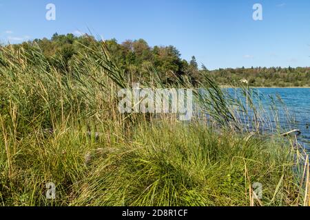 Draufsicht auf die 4 Seen des Dorfes Frasnois, Jura, Frankreich Stockfoto