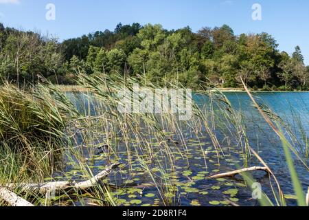 Draufsicht auf die 4 Seen des Dorfes Frasnois, Jura, Frankreich Stockfoto