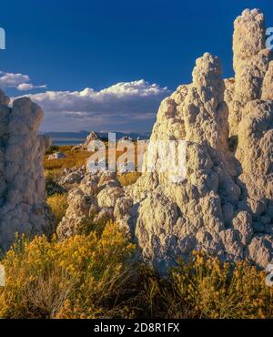 Tufa Towers, Rabbitbrush, Simon Spring, Mono Lake, Mono Basin National Forest Scenic Area, Inyo National Forest, Kalifornien Stockfoto