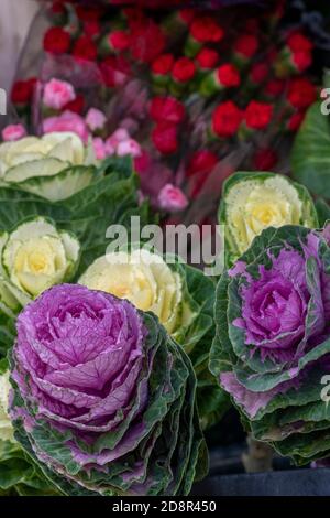 Schöne Blumen und Rosen in lila und rot an einem Blumengeschäft Display zum Verkauf Nelken und Blüten Stockfoto