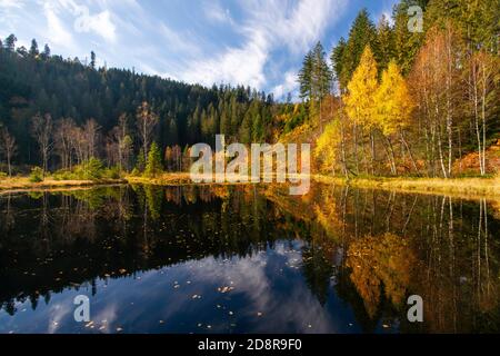 Herbstreflexionen am Ellbachsee, einem tarn im nördlichen Schwarzwald, Deutschland Stockfoto
