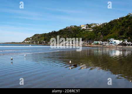 Häuser am Hang spiegeln sich am Strand von Lyall Bay, Wellington, Nordinsel, Neuseeland Stockfoto