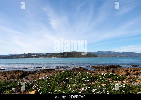 Radialwolken über Lyall Bay, Wellington, Nordinsel, Neuseeland Stockfoto