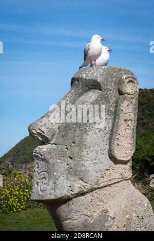 Geschnitzter Steinkopf, ähnlich wie Osterinsel Moia Statuen, Lyall Bay, Wellington, Nordinsel, Neuseeland Stockfoto